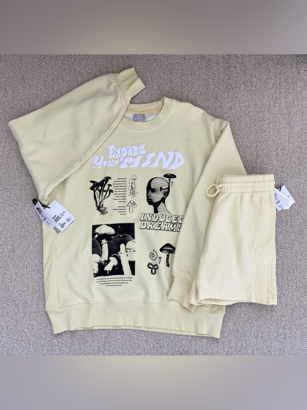 Aritzia TNA Butter Yellow sweatsuit set